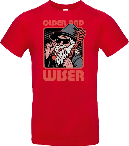 Old Wise Wizard Pop Art - Middle Age, Middle Earth, Grey, Cool, Wiser, Wise, Older, Old, Adventure, Fantasy, Books, Book, Bookworm, Retro, Retro Vintage, Vintage, Medieval, Magic, Magical, Wizard Hat, Wizard, Pop Culture Wizard, Witchcraft, Sorcery, Sorcerer, Fun, Funny, Meme - Standard T-Shirt