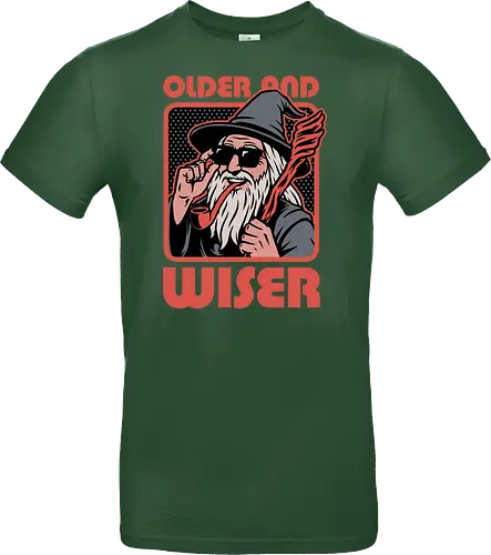 Old Wise Wizard Pop Art