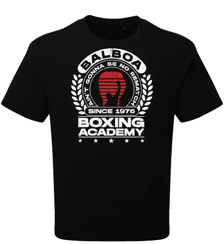 Balboa Boxing Academy V3