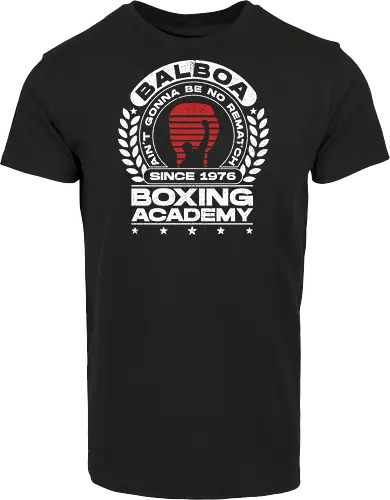 Balboa Boxing Academy V3