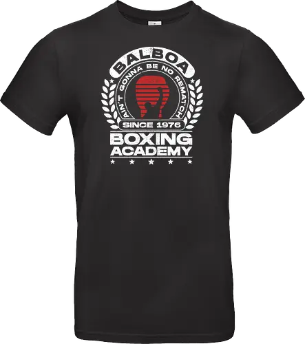 Balboa Boxing Academy V3
