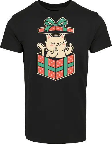 "Surprise Me" Funny Rude Cat in Gift Box Graphic