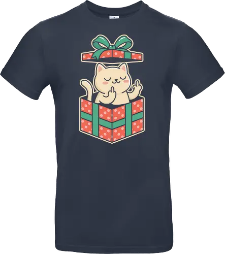 "Surprise Me" Funny Rude Cat in Gift Box Graphic