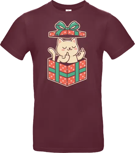 "Surprise Me" Funny Rude Cat in Gift Box Graphic