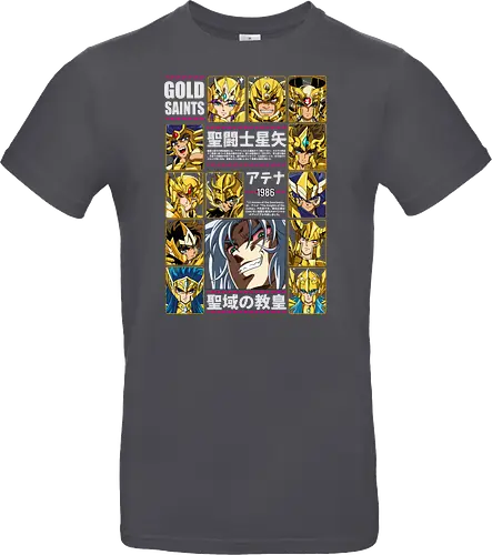 Gold Saints – Twelve Zodiac Temples