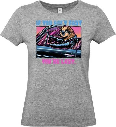 Fast or Last - animation, Sloths, sloth, animal, funny, humor, movie, fast, slow, animated - Standard T-Shirt (Women)