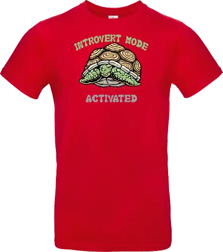 Introvert Mode Activated