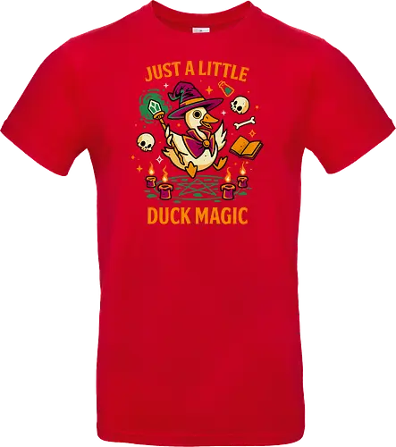 A Little Duck Magic - Quirky Dark Wizard