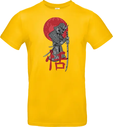 Japanese Ronin Samurai Warrior Red Sun