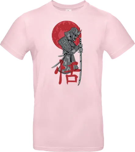 Japanese Ronin Samurai Warrior Red Sun