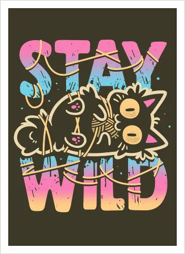Wrapped in Chaos – Stay Wild