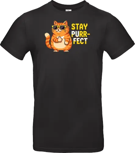 Stay Purr-fect - Retro Pixel Art Cool Orange Cat Tee