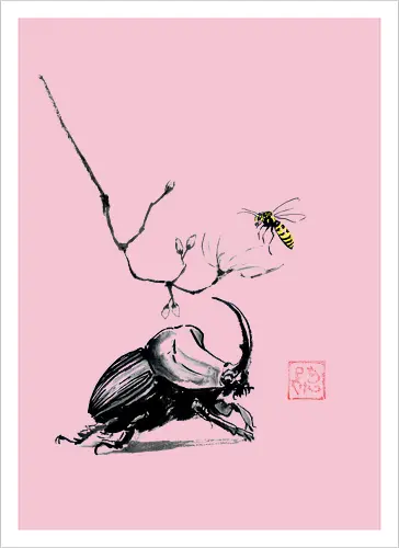 beetle bee