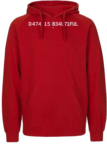 Data is Beautiful - Pi day, data, geek, nerd, minimalism, minimal, science, scientist, mathematics, maths, teacher, student, learning, patterns - Fairtrade Hoodie