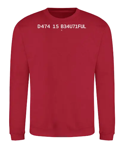 Data is Beautiful - Pi day, data, geek, nerd, minimalism, minimal, science, scientist, mathematics, maths, teacher, student, learning, patterns - Sweatshirt