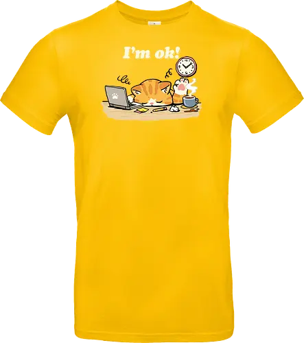 I'm Ok Cat