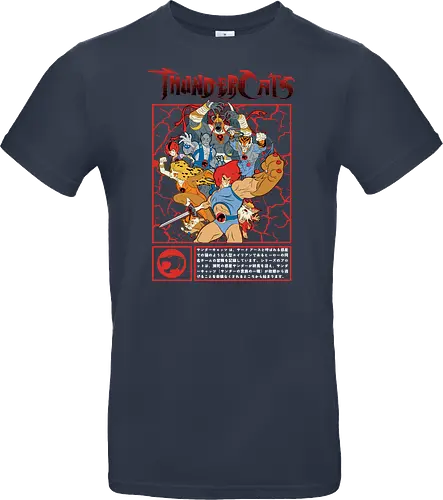 ThunderCats – Battle Frame