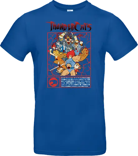 ThunderCats – Battle Frame