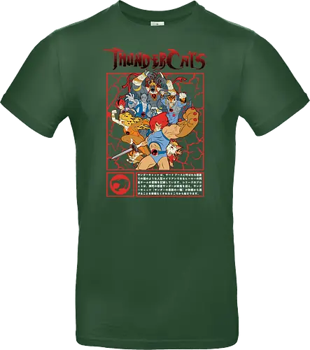 ThunderCats – Battle Frame