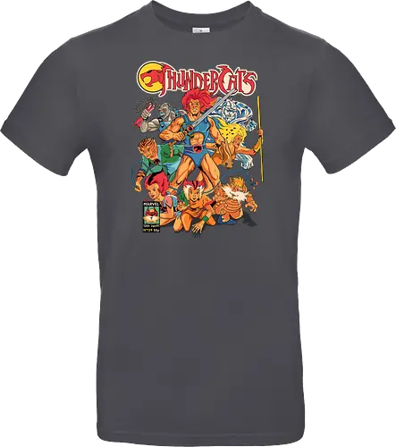 ThunderCats – Hero Squad