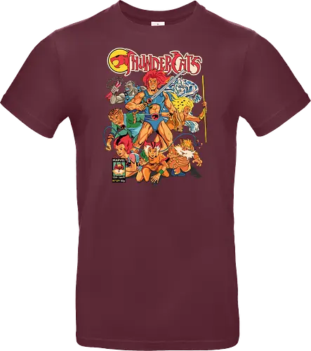 ThunderCats – Hero Squad