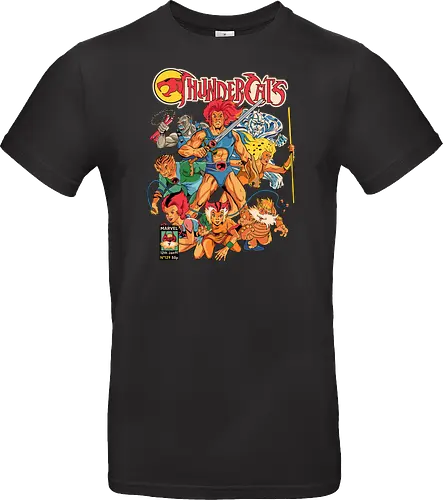 ThunderCats – Hero Squad