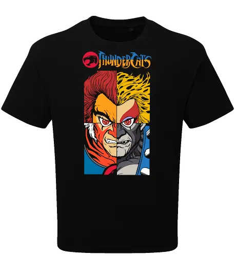 ThunderCats – Heroes Faces