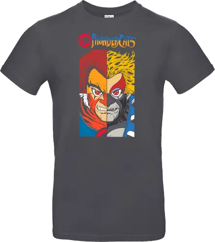 ThunderCats – Heroes Faces