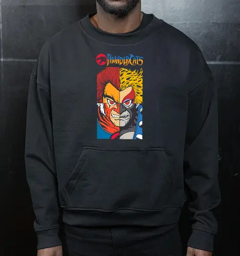 ThunderCats – Heroes Faces