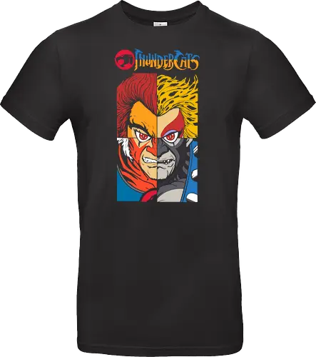 ThunderCats – Heroes Faces
