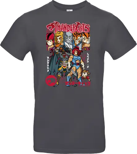ThunderCats – Heroes Unite