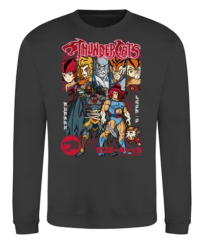 ThunderCats – Heroes Unite - thundercats, lion o, team heroes, retro cartoon, 80s animation, hero squad, classic show, action team - Sweatshirt