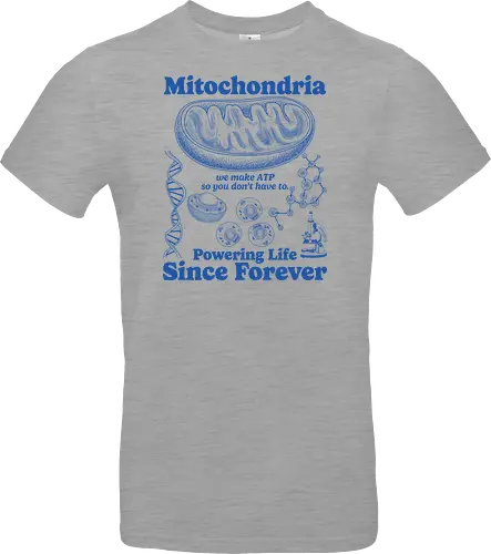 Mitochondria