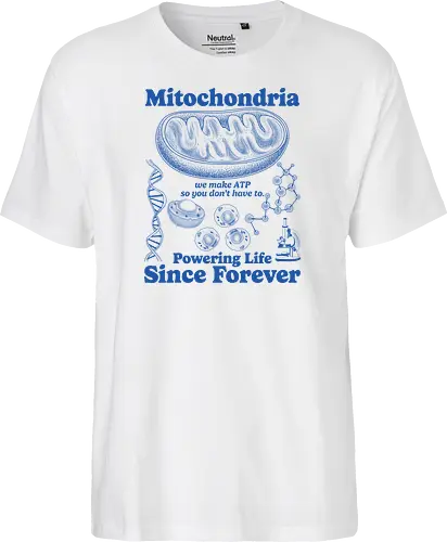 Mitochondria