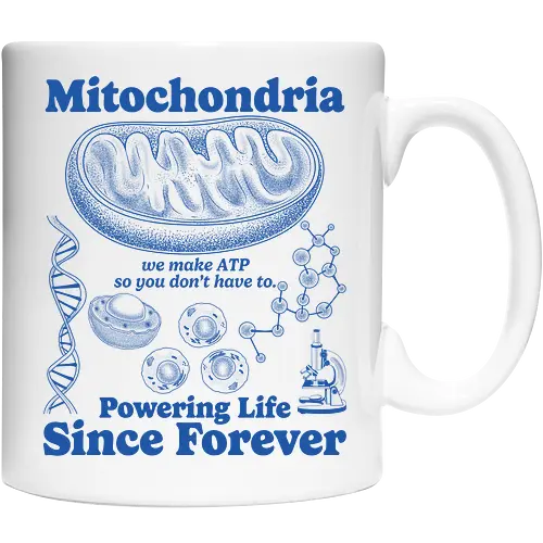 Mitochondria