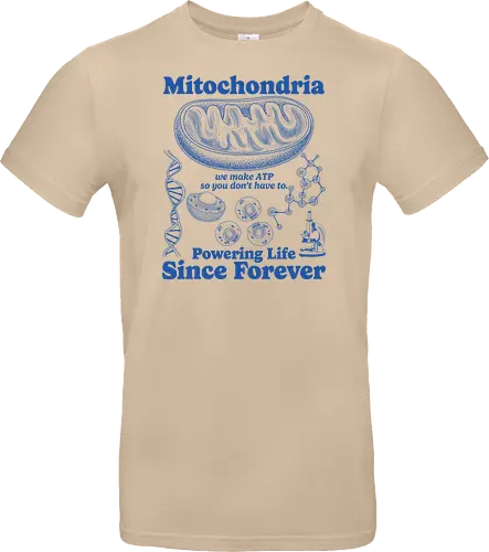 Mitochondria