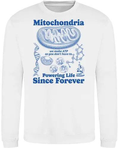 Mitochondria
