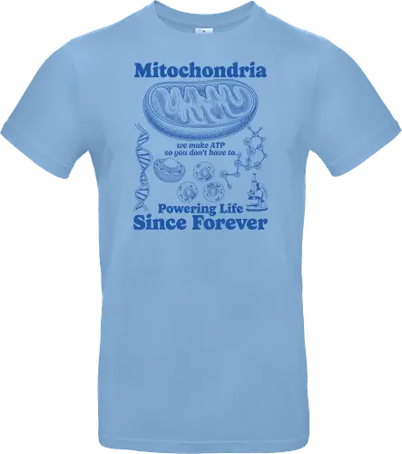 Mitochondria