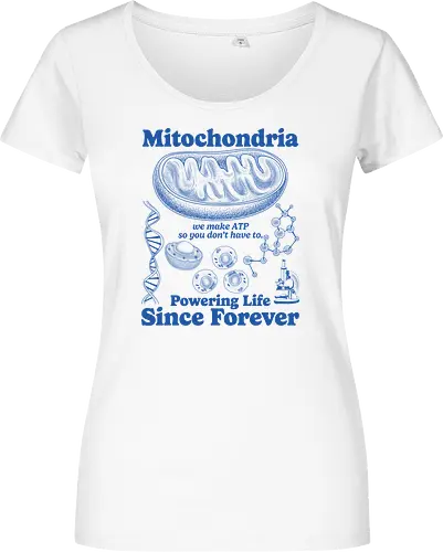 Mitochondria