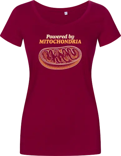 Powered by Mitochondria
