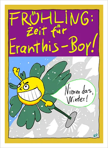 Eranthis-Boy