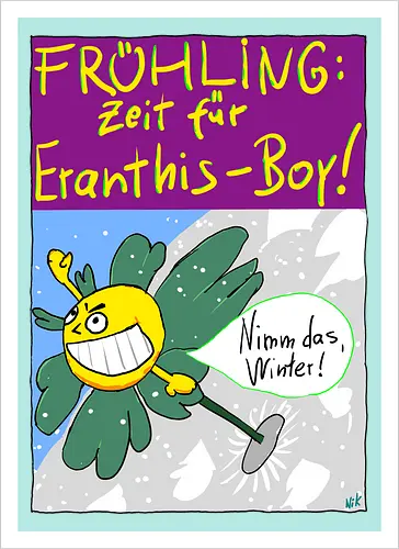 Eranthis-Boy