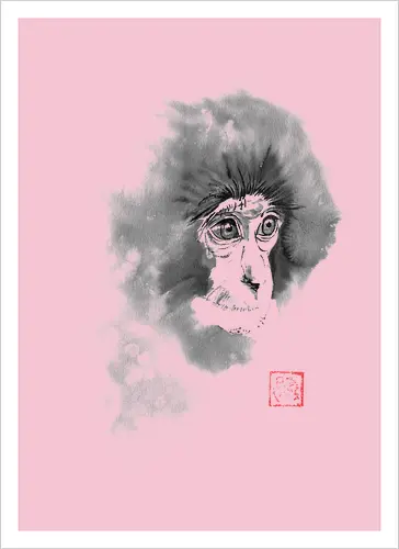 chimpanzee
