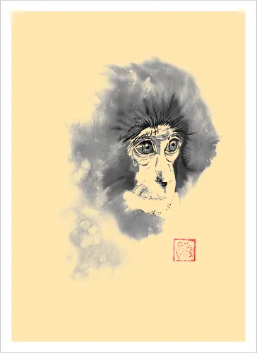 chimpanzee