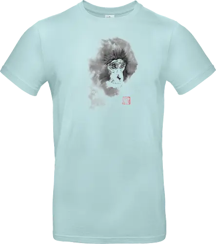 chimpanzee