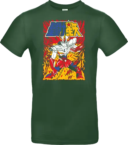 Phoenix Warrior – Eternal Flame
