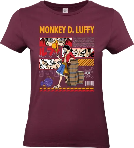 Future Pirate King - Pirate, pirate king, straw hat pirate, anime hero, grand line, shonen anime, adventure anime - Standard T-Shirt (Women)