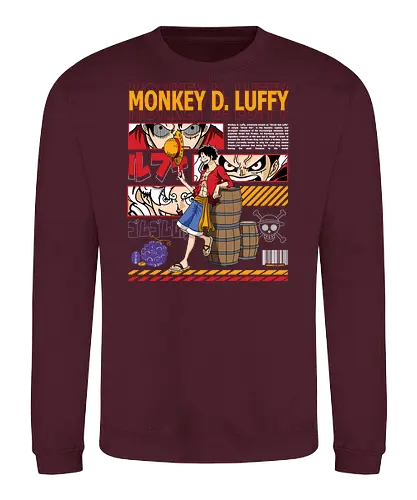 Future Pirate King - Pirate, pirate king, straw hat pirate, anime hero, grand line, shonen anime, adventure anime - Sweatshirt