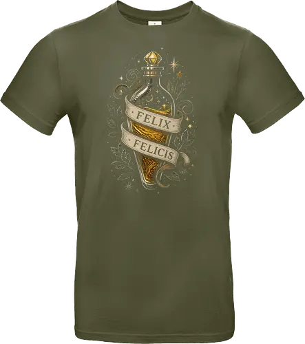 Felix Felicis Potion Magic
