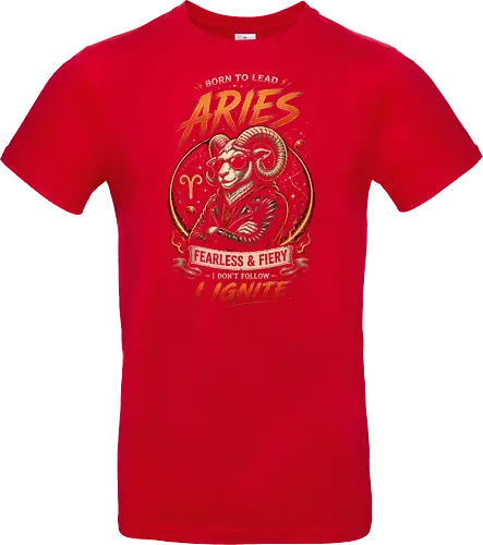Aries Fearless and Fiery
